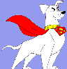 Krypto