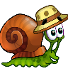 Snail Bob